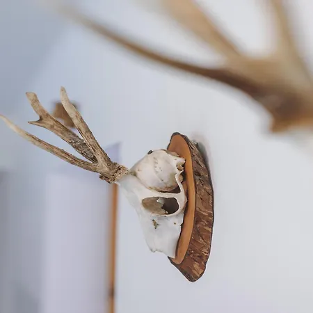 Home, Fusch An Der Glocknerstrasse *