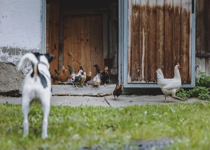 Dom wakacyjny Home, Fusch An Der Glocknerstrasse