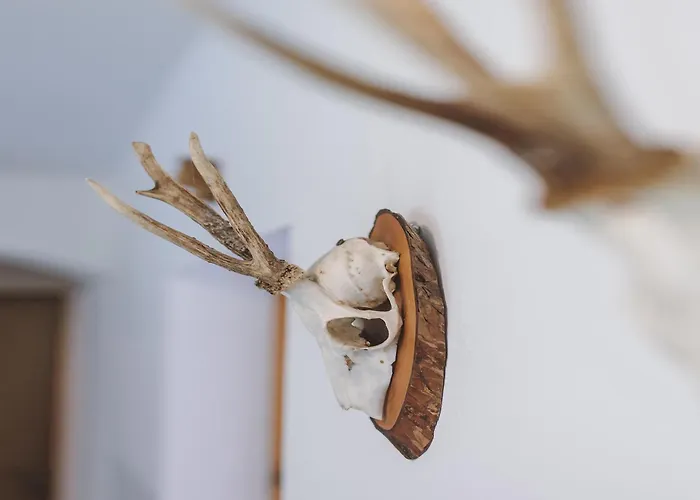 Home, Fusch An Der Glocknerstrasse *